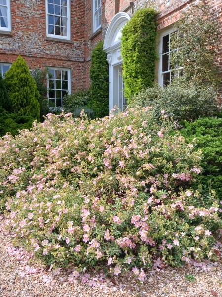 Lordington House
